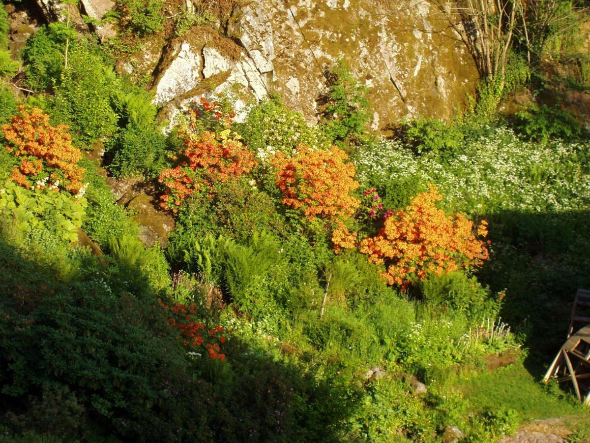 Brunstorpsgard Braenneriet Villa Huskvarna Cameră foto